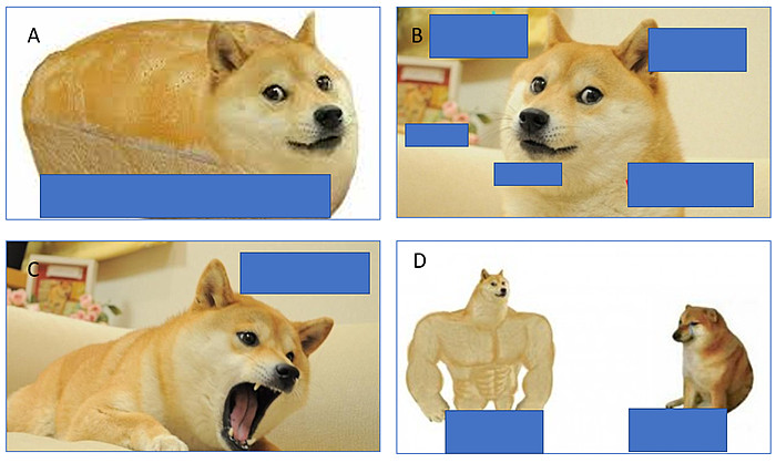 Doge meme templates