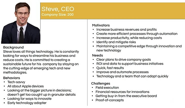 ideal customer profile (Steve, CEO)