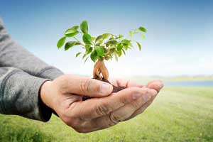 Never Waste an Opportunity: The Value of Lead-Nurturing