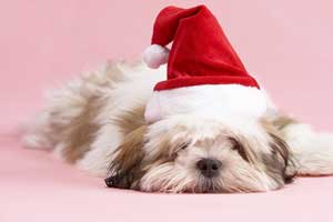 Lessons for 2014: What Was Missing in Your 2013 Holiday Marketing Strategy?
