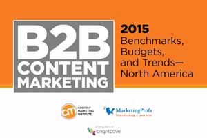 2015 B2B Content Marketing Benchmarks, Budgets, and Trends