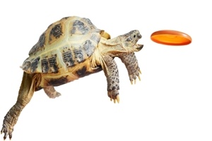 Slow Marketing: How to Deliver Faster Results by Slowing Down (Yes, You Read That Right)