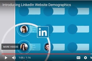 #SocialSkim: LinkedIn's New Website Demographics, WhatsApp's Business Chat: 10 Stories This Week