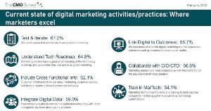 The Digital Activities Marketers Are Excelling At and Struggling With
