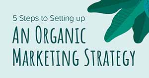 How to Get Started With Organic Website Marketing