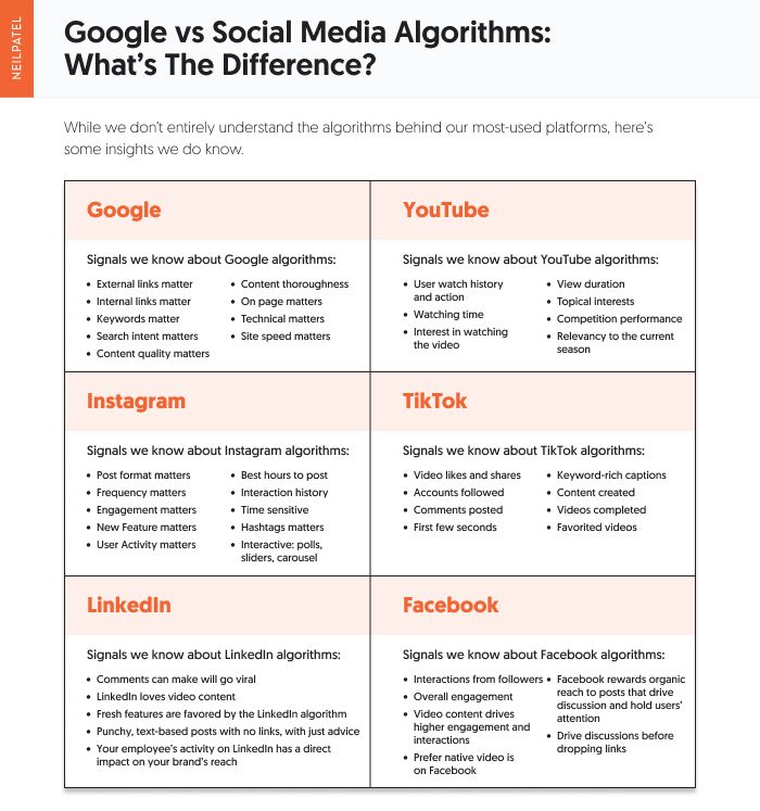 Google and social media algorithms infographic