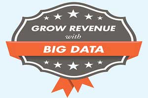Grow Revenue With Big Data: Get Sales and Marketing on the Same Page [Infographic]