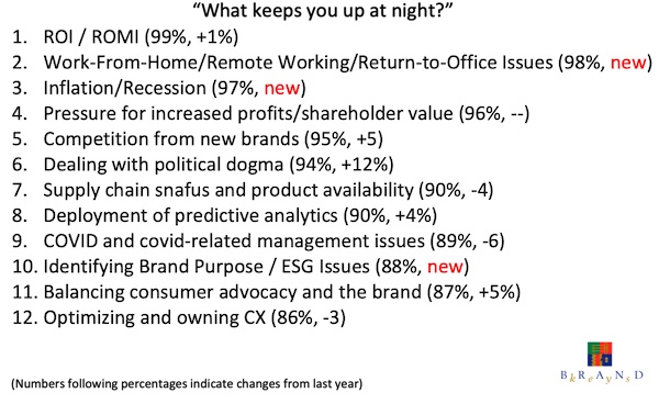 What keeps surveyed senior marketers up at night