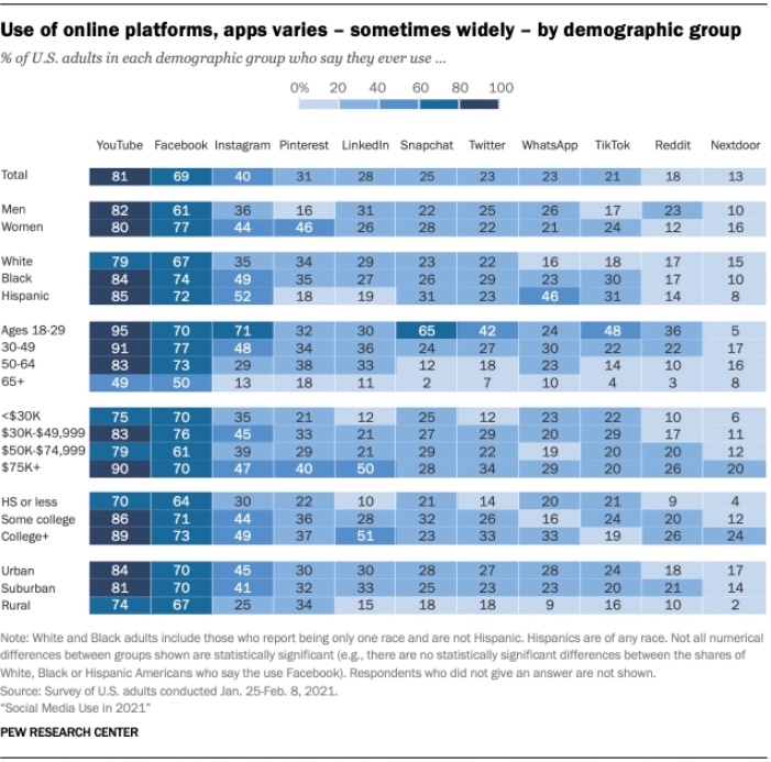 Social media platform demographics