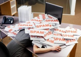 Half of Global Email Users Knowingly Click on Spam