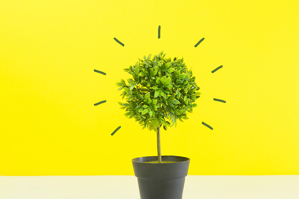 How B2B Brands Grow: The Science of Marketing Effectiveness