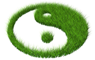 The Tao of Green Marketing